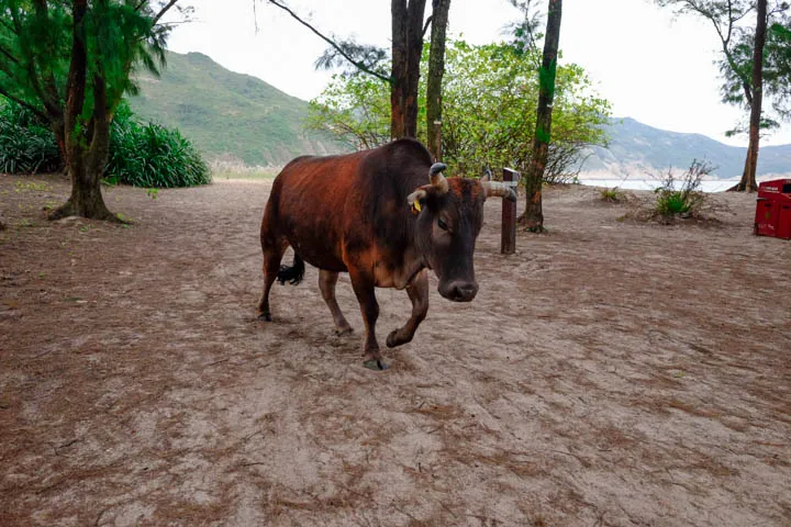 Camp site at Long Ke Wan beach